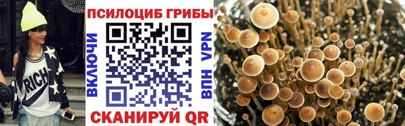 где найти   Покровск  Галлюциногенные грибы мухоморы 